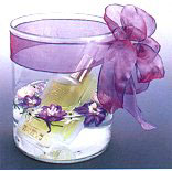 ����ˮ��Ʈ��