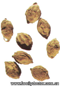 FructusAlpiniaeOxyphyllae/   Fructus Alpiniae Oxyphyllae 