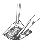 ������������������