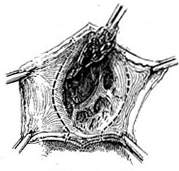 �ļ����������������ұ���