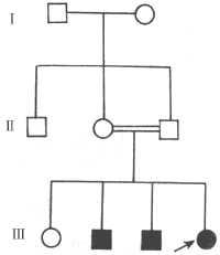 �����԰�����