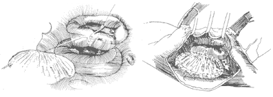 ���ҹܻ���