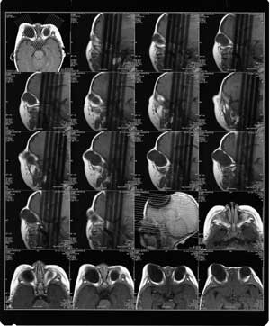 �ر��ע�����ۻ����ȴ�ȫ��ר���ǵ�Ԯ��//