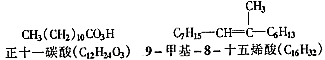 78-3.gif (1925 bytes)