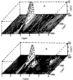 178-04.gif (9160 bytes)