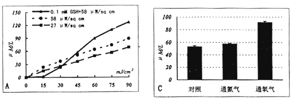 4.gif (39597 bytes)