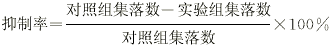 344-5.gif (1901 bytes)