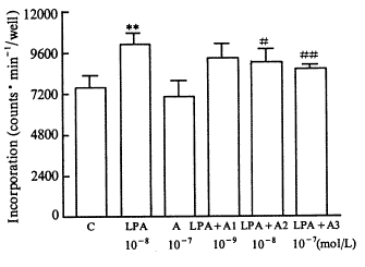 32.gif (7028 bytes)