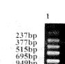 t794-2-1.gif (1344 bytes)