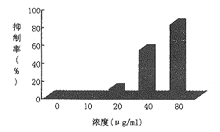 t0602.gif (3038 bytes)