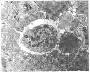 t0702.gif (11140 bytes)