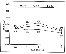 9802t6.gif (7026 bytes)