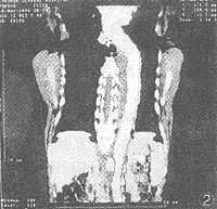 262-2.gif (10910 �ֽ�)