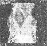 262-7.gif (9552 �ֽ�)