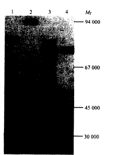 t30301.gif (4639 bytes)
