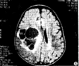 t10704.gif (5067 bytes)