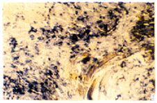 t43-2.gif (31821 �ֽ�)