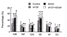 �����Ƥ|���Գ���άϸ����������|��Դ��Ӫ������|����ϸ����ѧ/bFGF��BDNF�����˺����С����������
�����Ƥϸ��������Ӱ��//