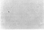 33-2.gif (5403 bytes)