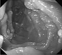 /������˫��֫ˮ��/����ժҪ/��������/