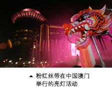 �ۺ��������