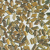 Cassia Seed