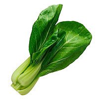 Chinese Cabbage