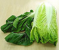 Chinese Cabbage