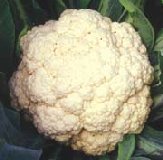 Cauliflower