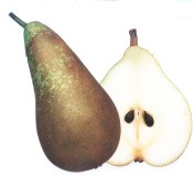 Pear