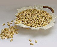 Pine Nut