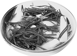 ���Ժ���������