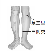 ���Σ���Ѫ��ͨ�����ల��