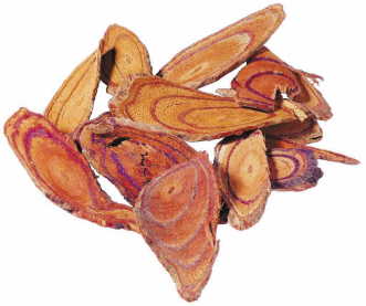 ��ʱ����
    ��Ѫ��