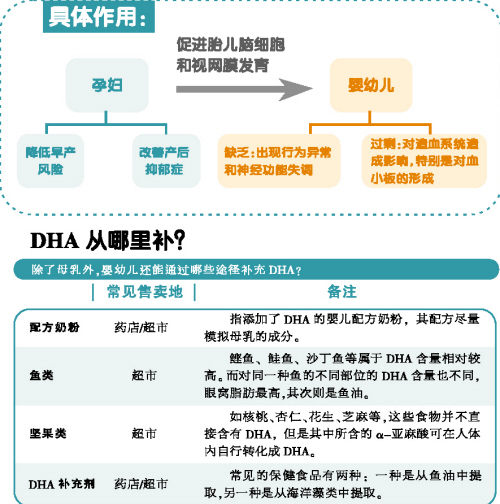 DHA��Ӥ�׶��ɳ���Сƻ����