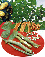 <BR><STRONG>����24��</STRONG>