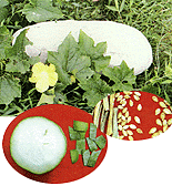 <BR><STRONG>�ٿ���</STRONG>