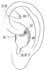 ʴݷ촯