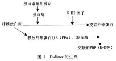 Է˨Ĺ淶