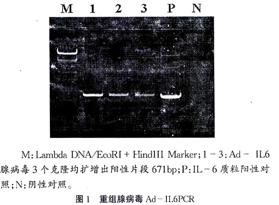 ٲIL-6ԴȱѪı