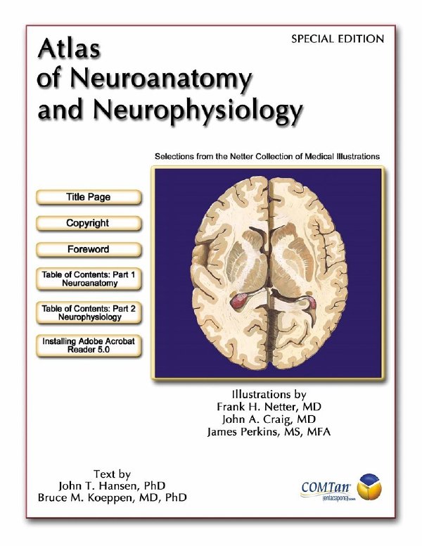 񾭽ͼס(atlas of neuroanatomy and neurophysiology)()Ӣİ[PDF]