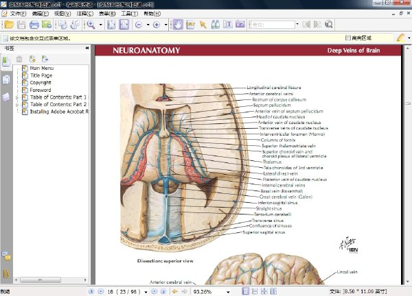 񾭽ͼס(atlas of neuroanatomy and neurophysiology)()Ӣİ[PDF]